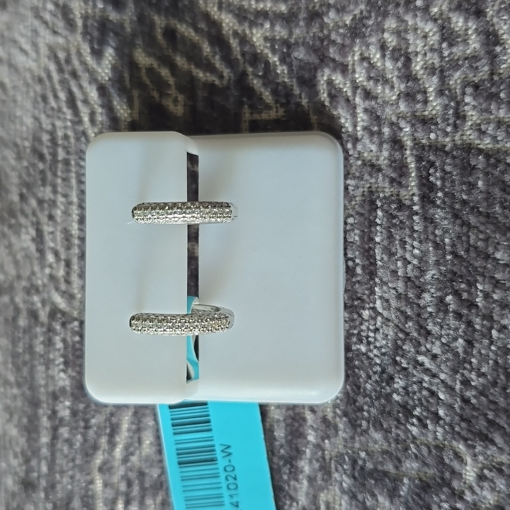 925 Sterling Silver Moissanite Hoop Earrings